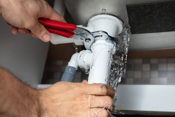 Best Flood restoration services  in Chamberlayne, VA