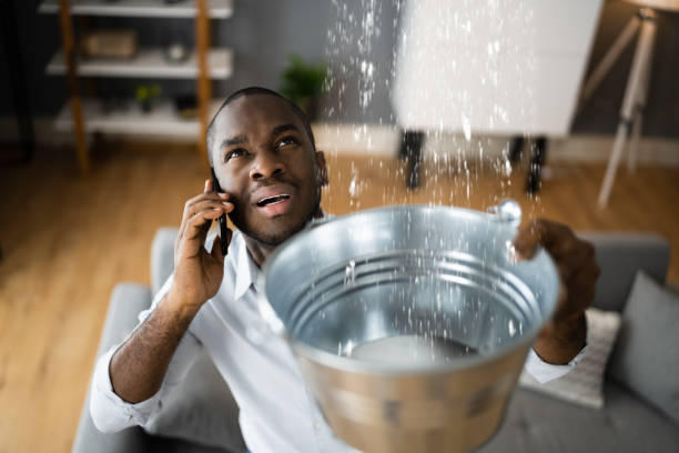 Best Local water damage restoration  in Chamberlayne, VA