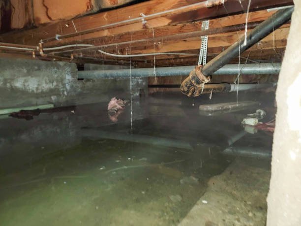  Chamberlayne, VA Water damage restoration Pros