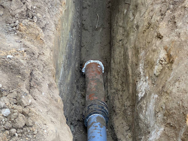 Best Flood damage cleanup  in Chamberlayne, VA