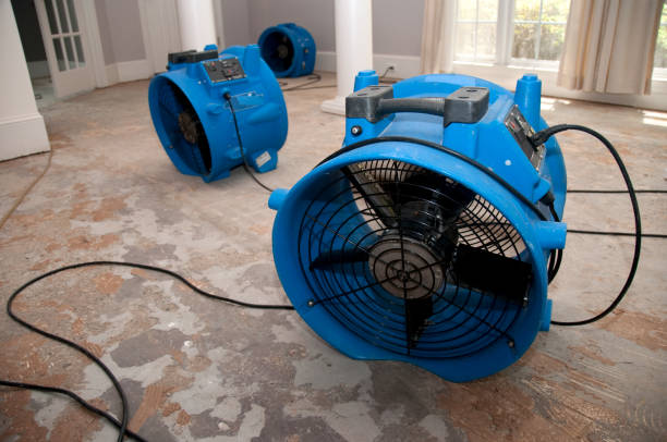 Best Basement water damage restoration  in Chamberlayne, VA